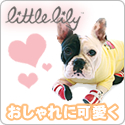 Little Lily　リリーブーツ