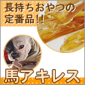 GREEN DOG�F�n�A�L���X