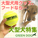 GREEN DOG：大型犬用商品特集