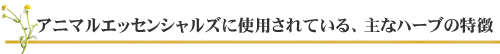 アニマルエッセンシャルズに使用されている、主なハーブの特徴