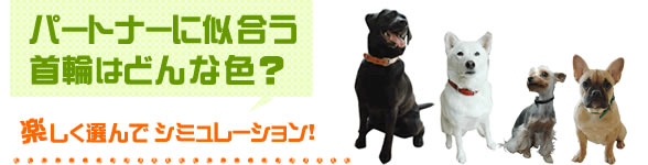 ポートナーに似合う首輪はどんな色？
