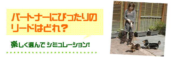 ポートナーにぴったりのリードはどれ?