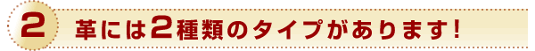 革には2種類のタイプがあります!