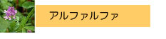 アルファルファ