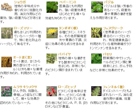 選び抜かれたハーブたちの調和と相乗効果がもたらす健康
