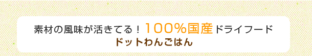素材の風味が活きてる！100％国産ドライフードドットわんごはん