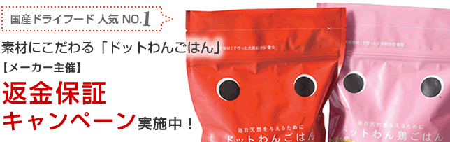 素材にこだわる「ドットわんごはん」【メーカー主催】返金保証 キャンペーン実施中！