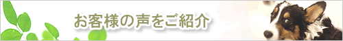 お客様の声をご紹介