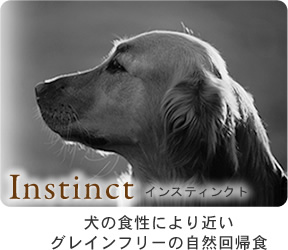 インスティンクト