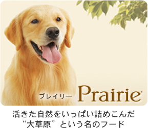 プレイリー