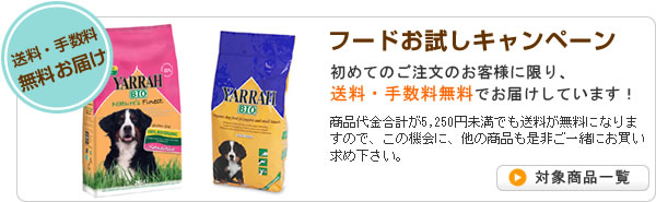 初回送料無料キャンペーン
