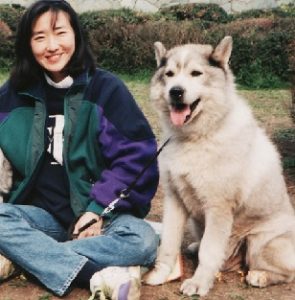 【犬との暮らし】　シニア犬と暮らす 2　～椎間板ヘルニアと介護