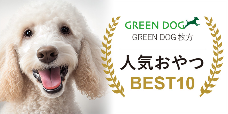 【GREEN DOG 枚方】人気おやつ BEST10