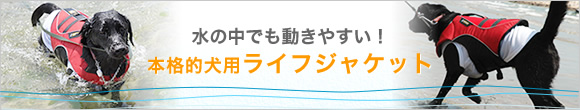 ラフウェア　ビッグエディ　フロートコート（犬用ライフジャケット）