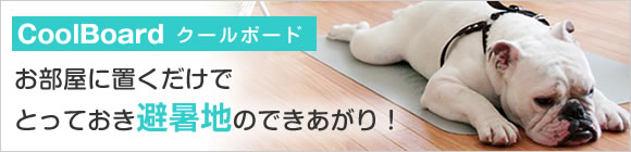 クールボード　L