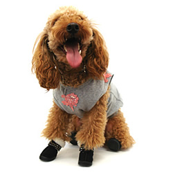 Little Lily�@�����[�u�[�c�@Crystal Fur�i�N���X�^���E�t�@�[�j 0��