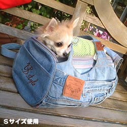 �L�����[�o�b�O�@SYstyle�@���f���[�L�����[ S