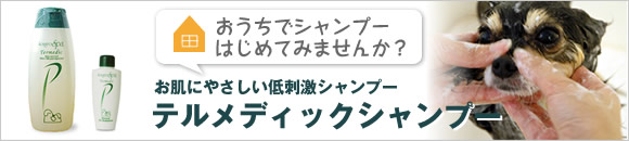 コズグロスパ　テルメディックシャンプー