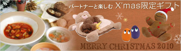 クリスマスストッキングマルチパック　レギュラー