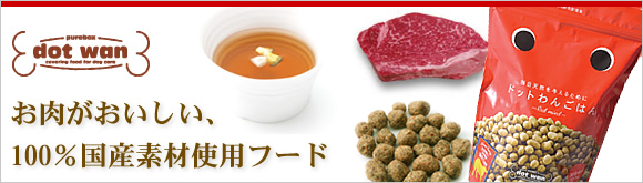 ドットわんごはん