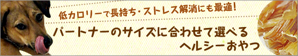 馬アキレス　細切り