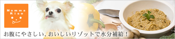 ヴェッキオ（シニア期）　イワシ