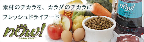 フレッシュドライフード　Now!（ナウ）　アダルト