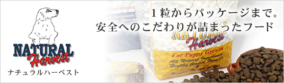 バラエティ缶セット（5缶）