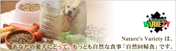 ドライフード ビーフ
