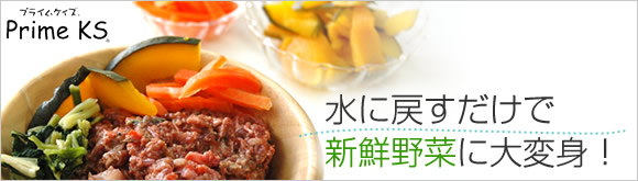 乾燥野菜　れんこん