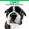THE DOGカレンダー ボストン・テリア 2010