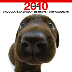 THE DOGカレンダー ラブラドール・レトリーバー(チョコレート) 2010