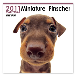 THE DOGカレンダー ミニチュア・ピンシャー 2011