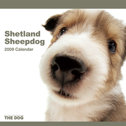 THE DOGカレンダー シェットランド・シープドッグ 2009