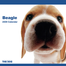 THE DOG�J�����_�[ �r�[�O�� 2009