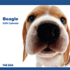 THE DOGカレンダー ビーグル 2009