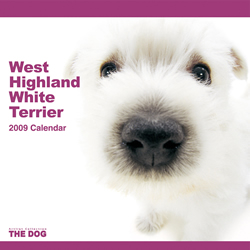 THE DOG�J�����_�[ �E�G�X�g�E�n�C�����h�E�z���C�g�E�e���A 2009