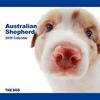THE DOG逆輸入カレンダー オーストラリアン・シェパード 2009