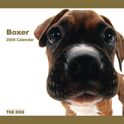 THE DOG�t�A���J�����_�[ �{�N�T�[ 2009