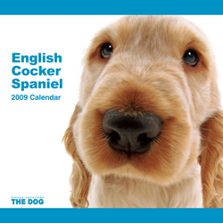 THE DOG�t�A���J�����_�[ �C���O���b�V���E�R�b�J�[�E�X�p�j�G�� 2009