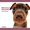 THE DOG�t�A���J�����_�[ �~�j�`���A�E�s���V���[ 2009