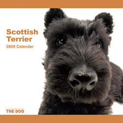 THE DOG�t�A���J�����_�[ �X�R�e�B�b�V���E�e���A 2009