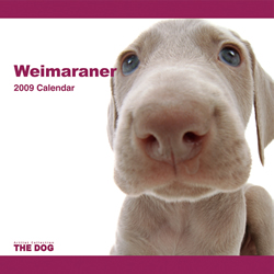 THE DOG�t�A���J�����_�[ ���C�}���i�[ 2009