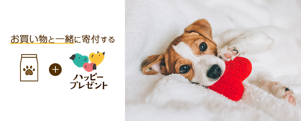 保護犬にハッピーを届けるイメージ