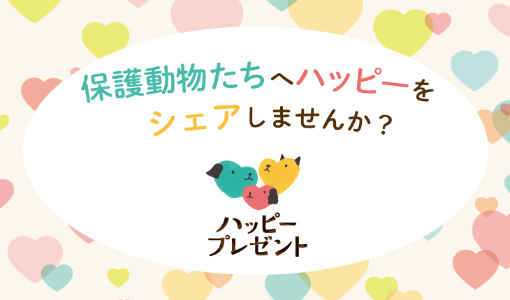 ハッピープレゼントロゴ