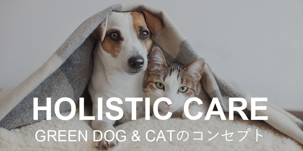 HOLISTIC CARE GREEN DOGのコンセプト