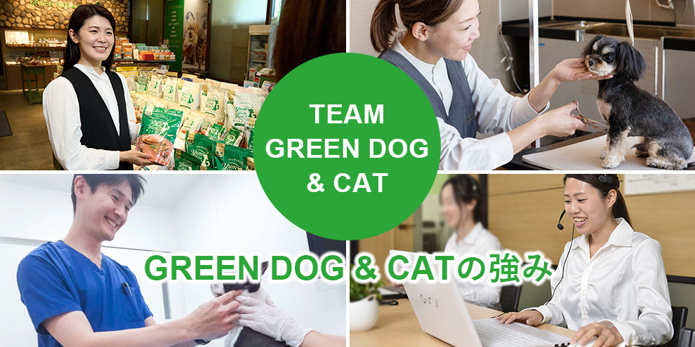 TEAM GREEN DOG