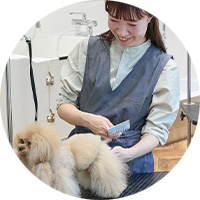 グルーマーの写真