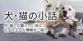 犬の小話