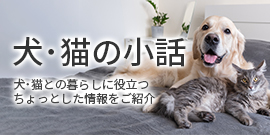 コラム「犬・猫の小話」